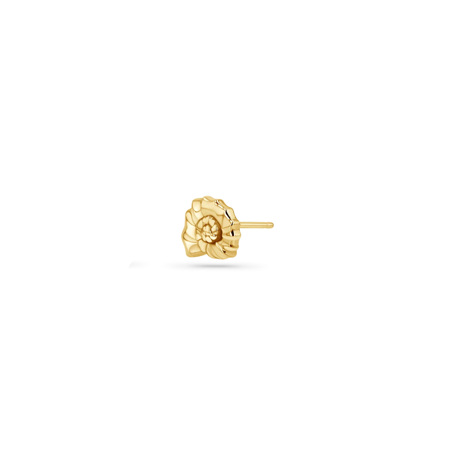 Soleil Nautilus Seashell Stud Earrings - Image 4