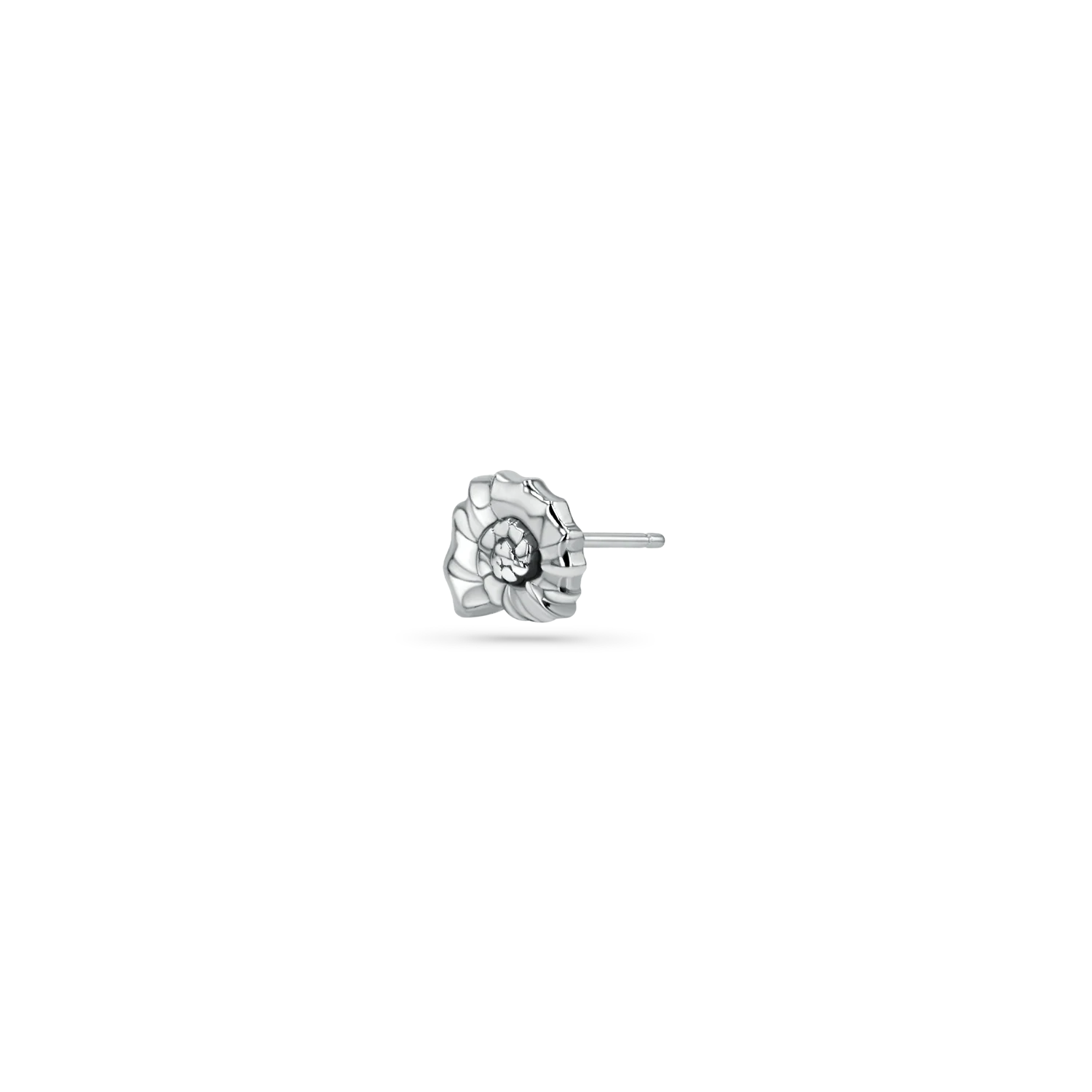 Soleil Nautilus Seashell Stud Earrings - Image 5