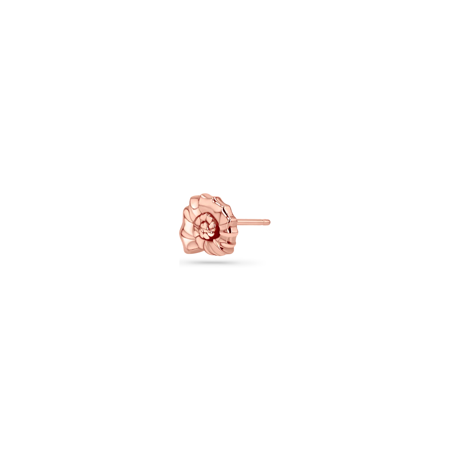 Soleil Nautilus Seashell Stud Earrings - Image 6