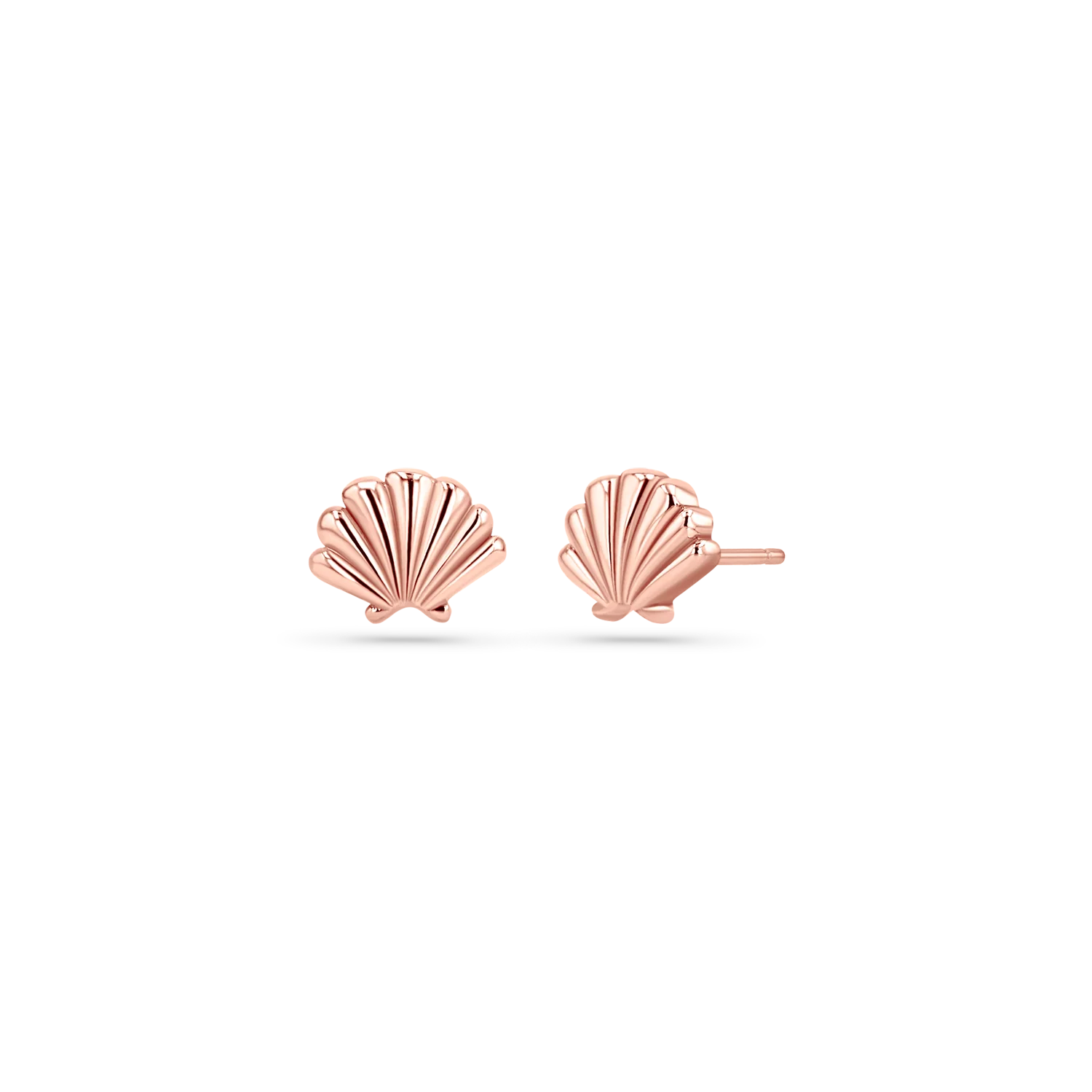Soleil Scallop Seashell Stud Earrings - Image 3
