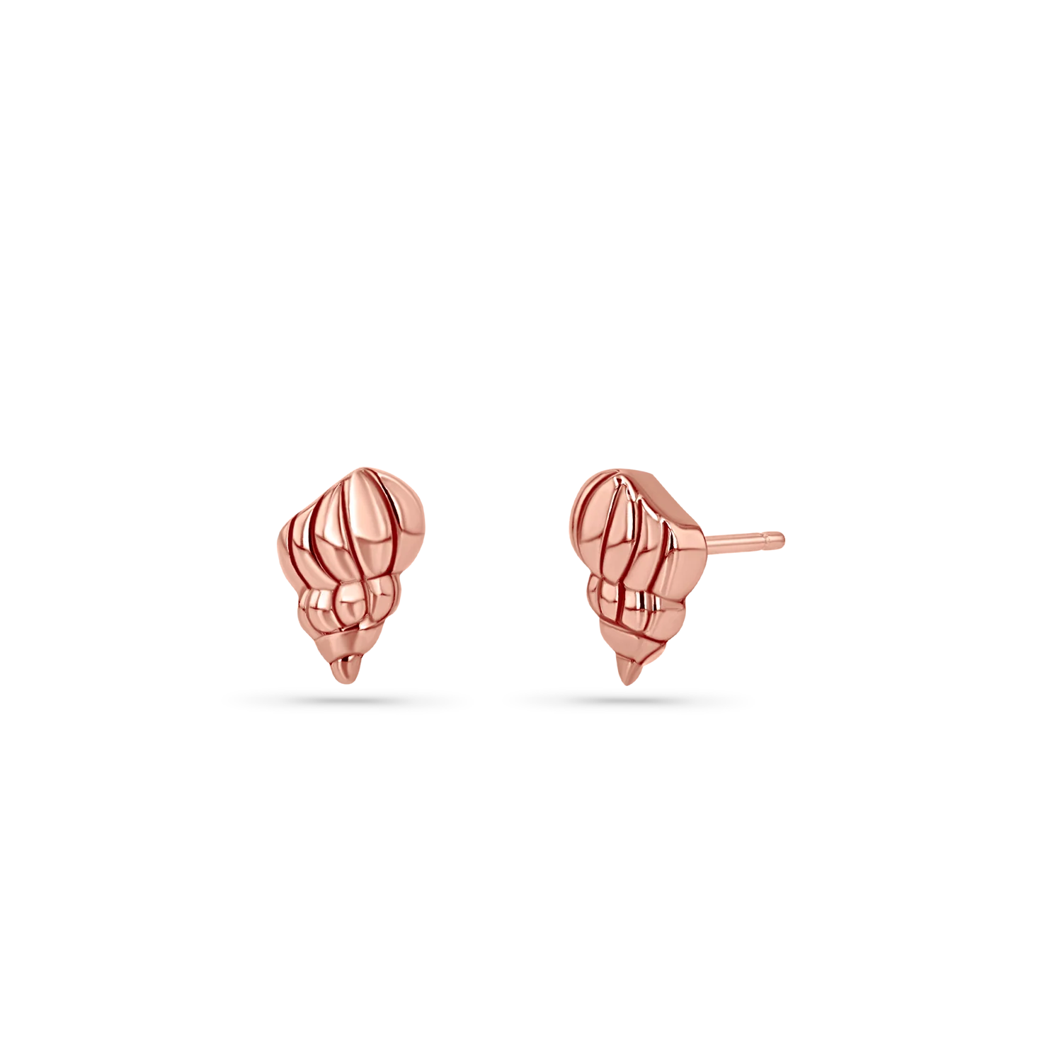 Soleil Tulip Seashell Stud Earrings - Image 3