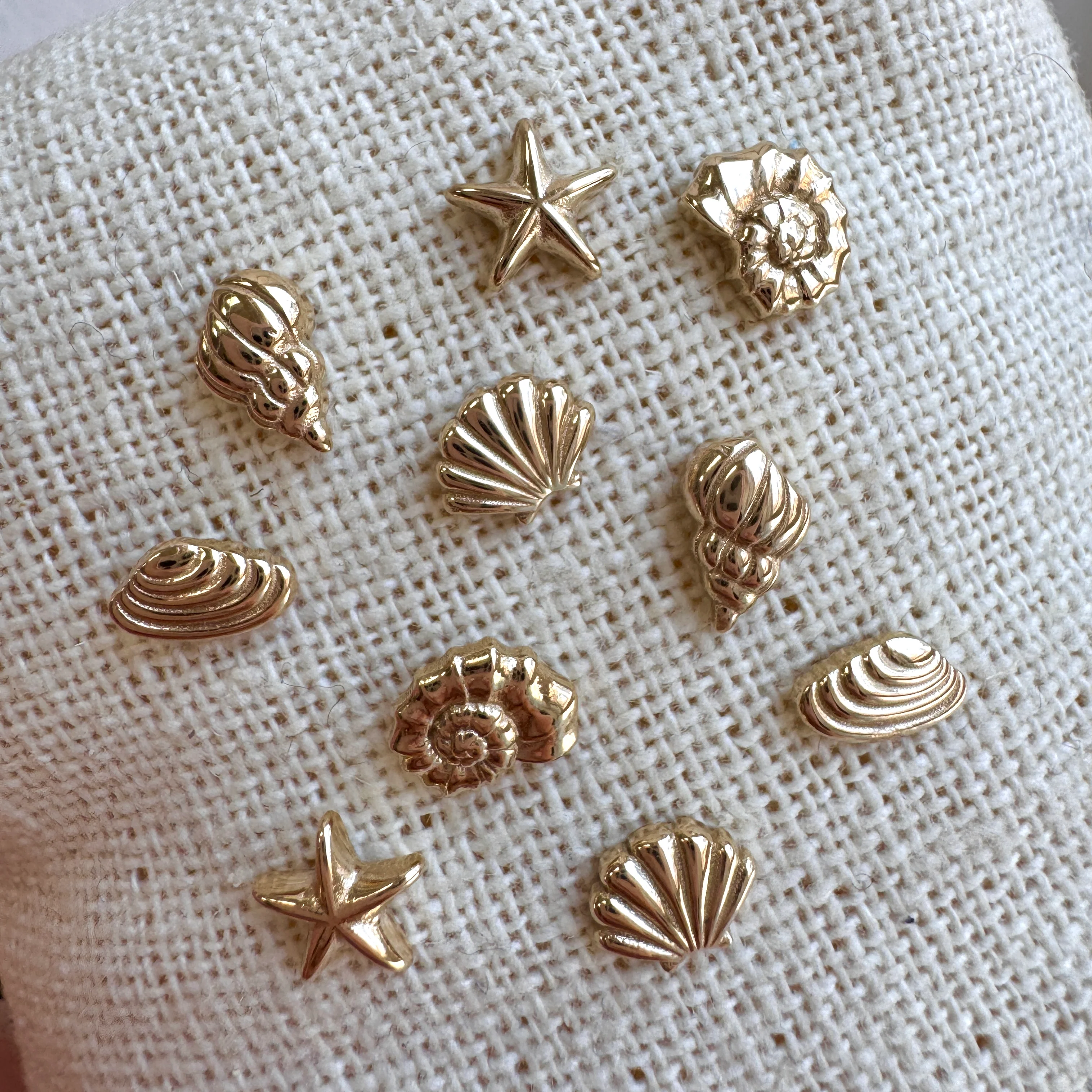 Soleil Venus Seashell Stud Earrings - Image 8