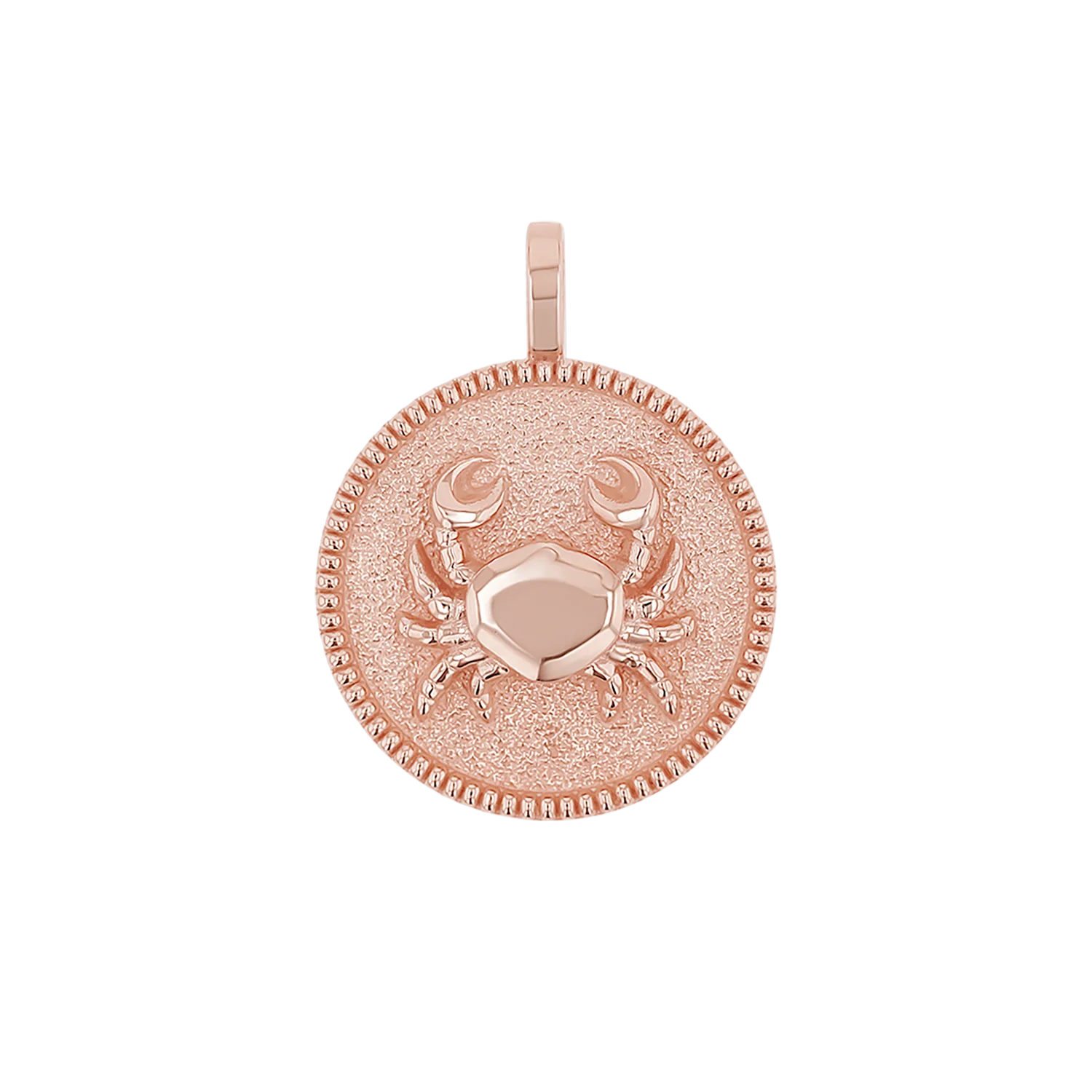Zodiac Coin Medallion Charm - Image 28