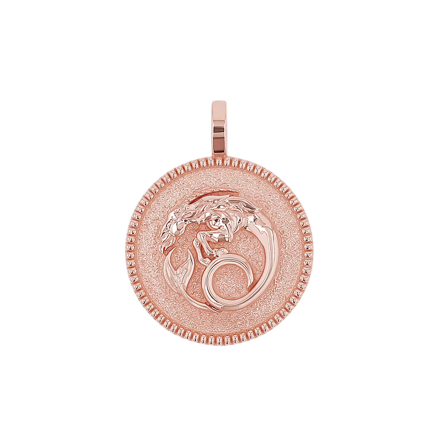 Zodiac Coin Medallion Charm - Image 29
