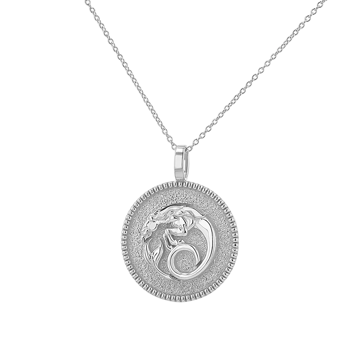 Zodiac Coin Medallion Necklace - Image 25