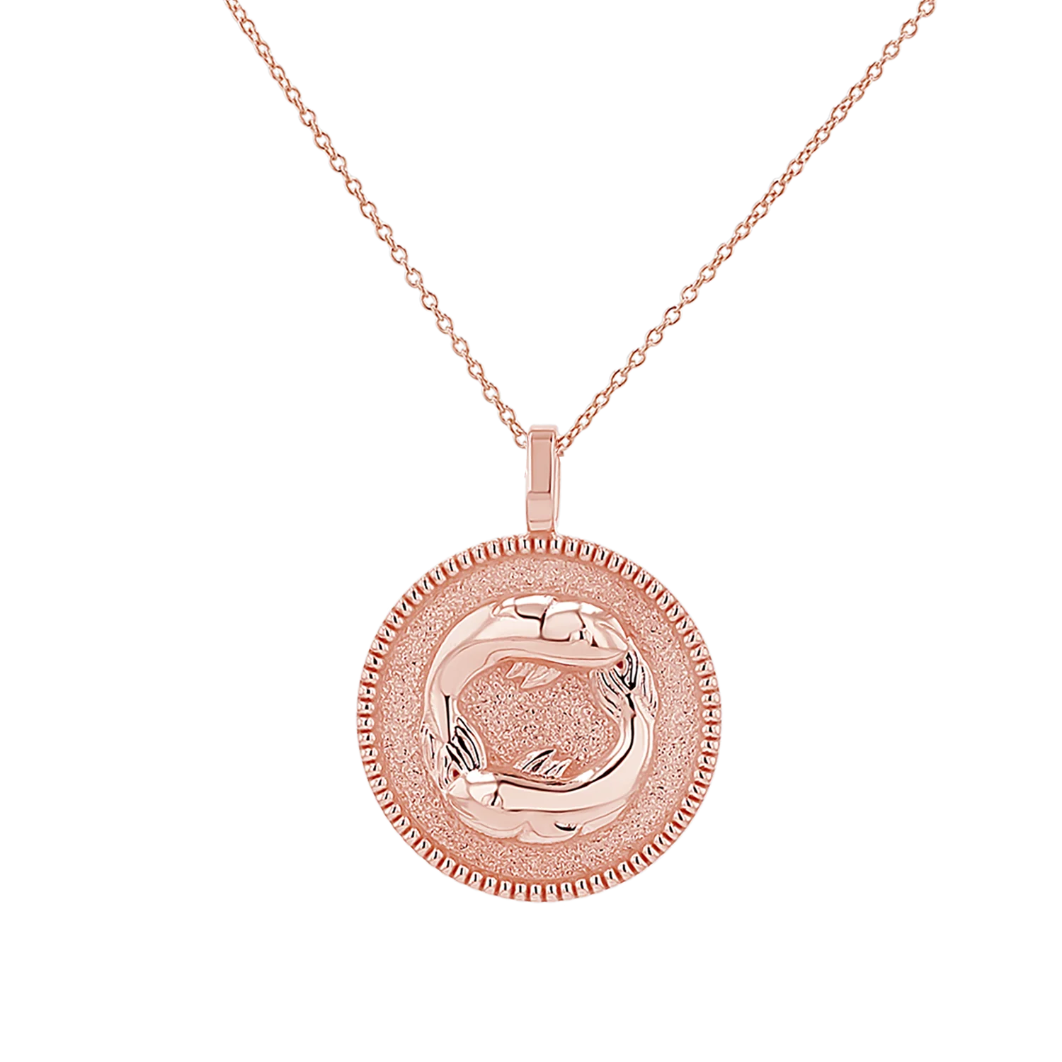 Zodiac Coin Medallion Necklace - Image 26