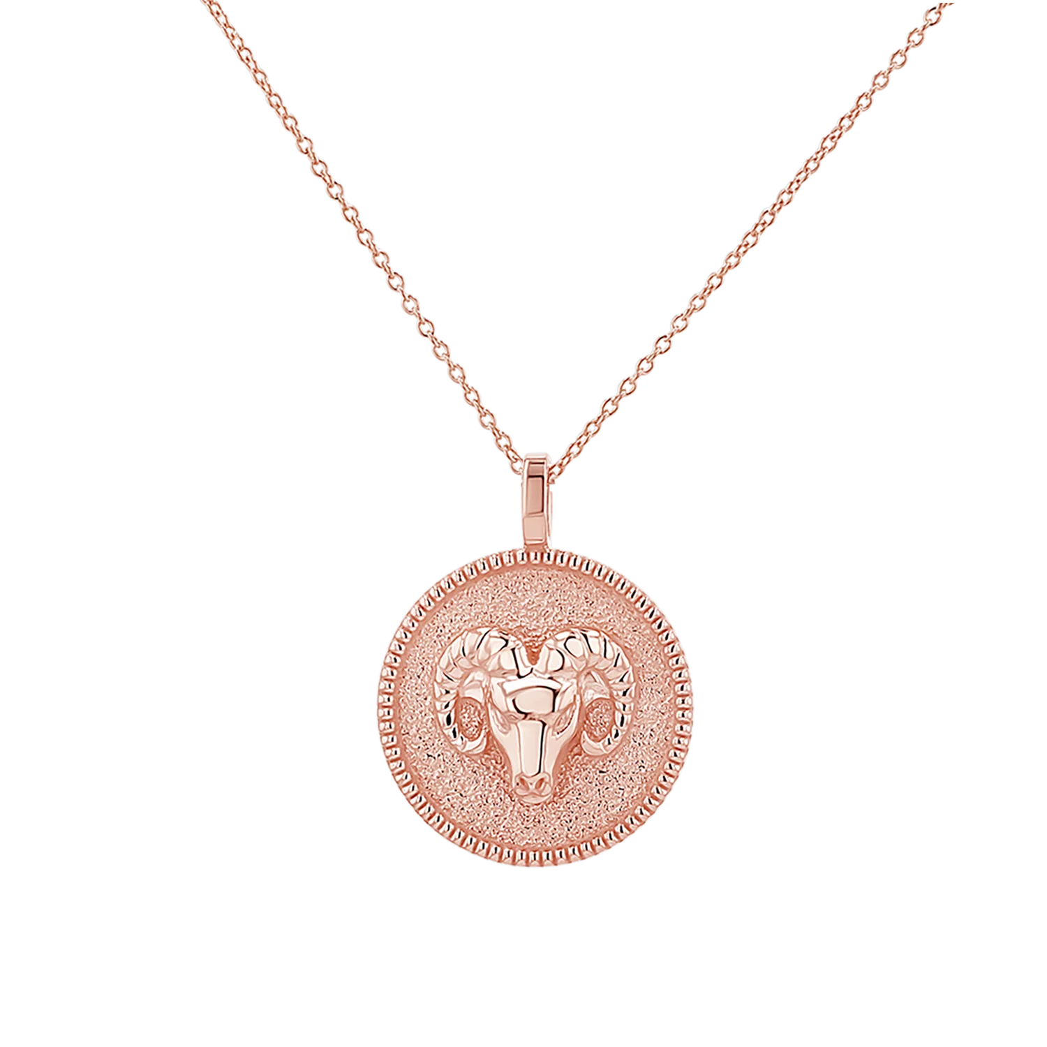 Zodiac Coin Medallion Necklace - Image 27