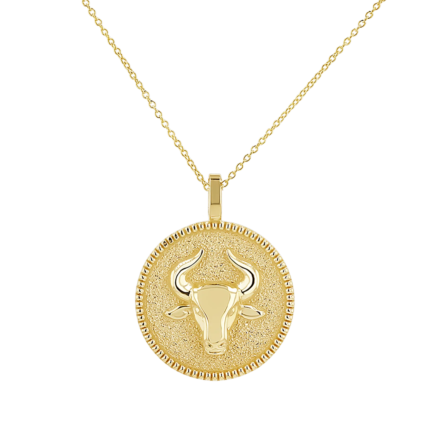 Zodiac Coin Medallion Necklace - Image 6