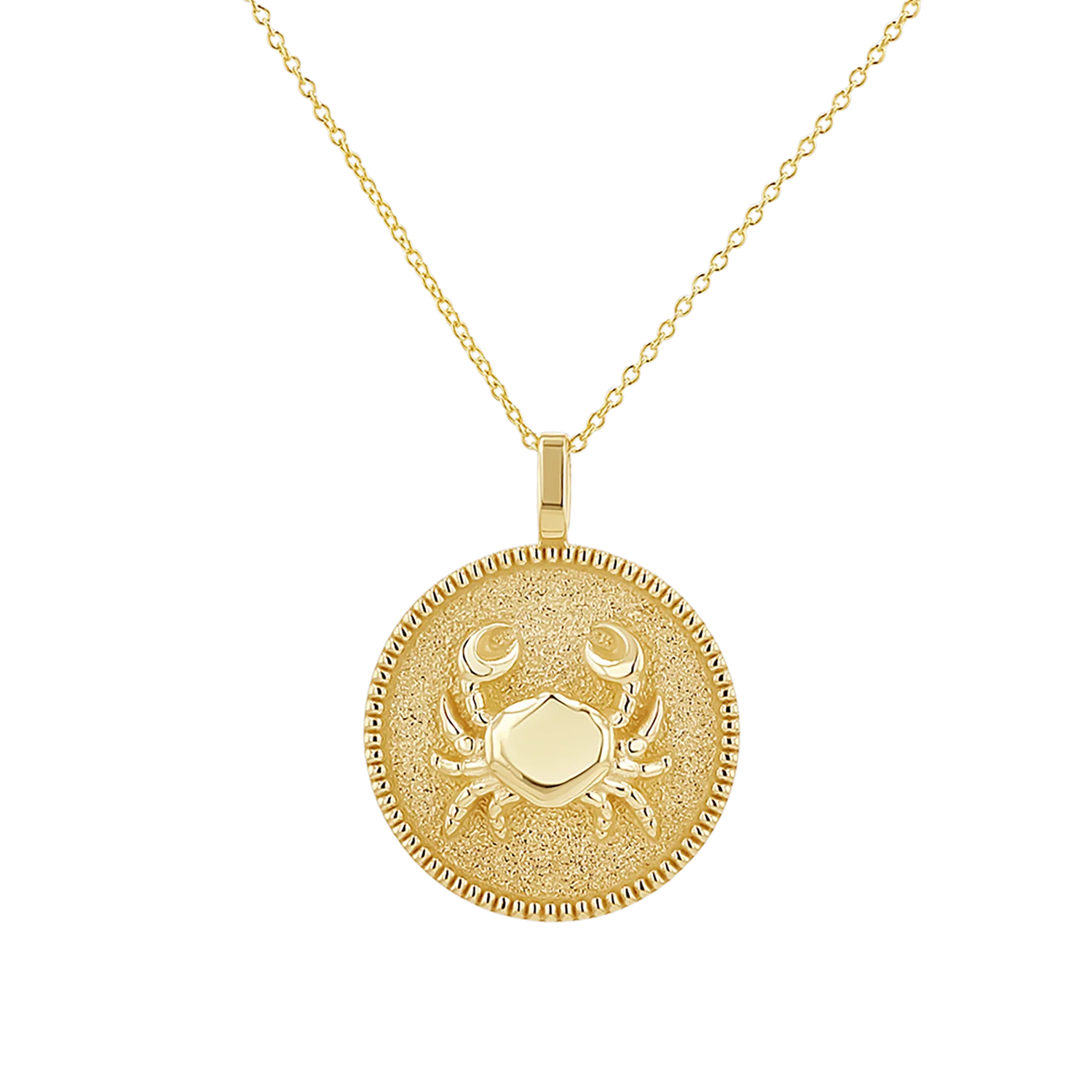 Zodiac Coin Medallion Necklace - Image 8