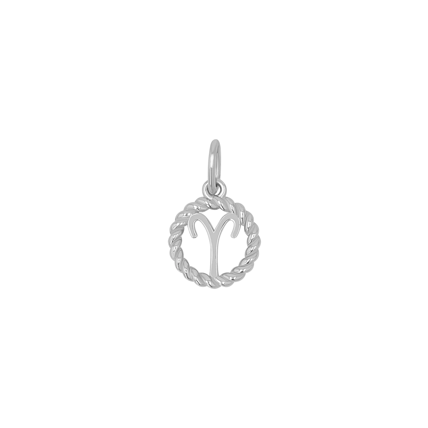 Zodiac Twist Medallion Charm - Image 2